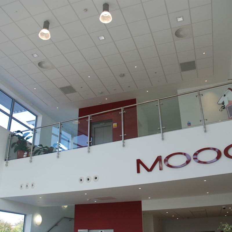 Moog — photograph 2